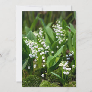 Blumen   Lily of the Valley Schweden Dankeskarte