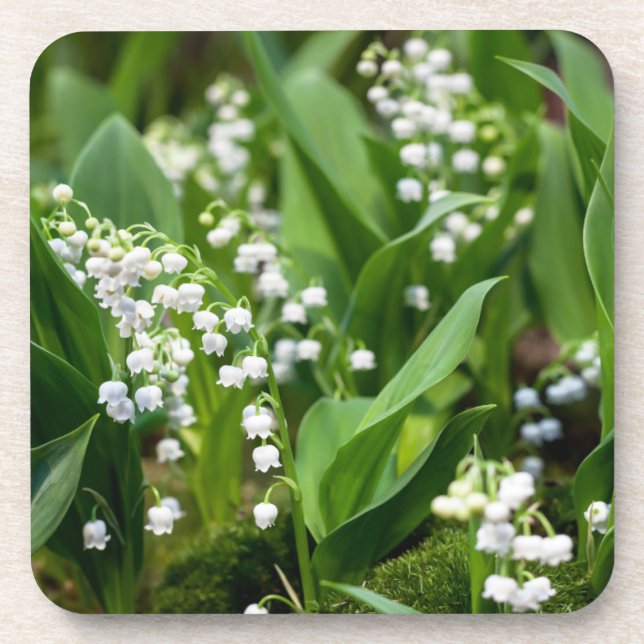 Blumen | Lily of the Valley Schweden Getränkeuntersetzer (Vorderseite)