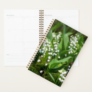 Blumen Lily of the Valley Schweden Planer