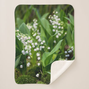 Blumen   Lily of the Valley Schweden Sherpadecke