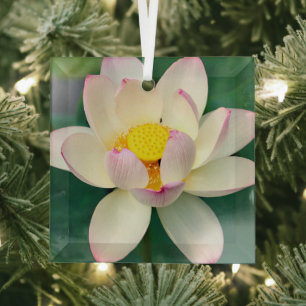 Blumen Lotus Water Blume Ornament Aus Glas