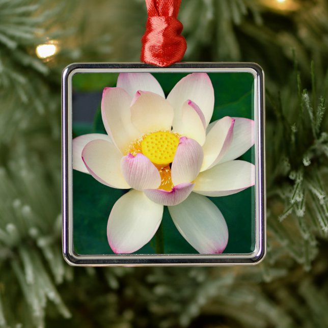 Blumen | Lotus Water Blume Ornament Aus Metall (Baum)