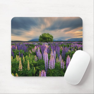 Blumen Lupinefeld in Neuseeland Mousepad