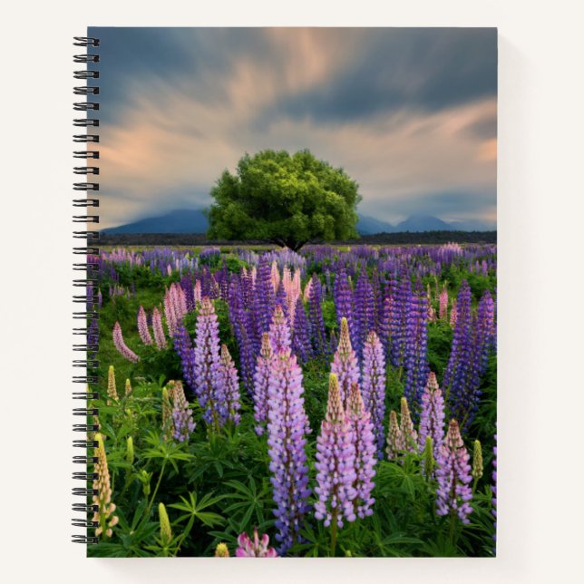 Blumen | Lupinefeld in Neuseeland Notizbuch (Vorderseite)