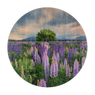 Blumen   Lupinefeld in Neuseeland Schneidebrett