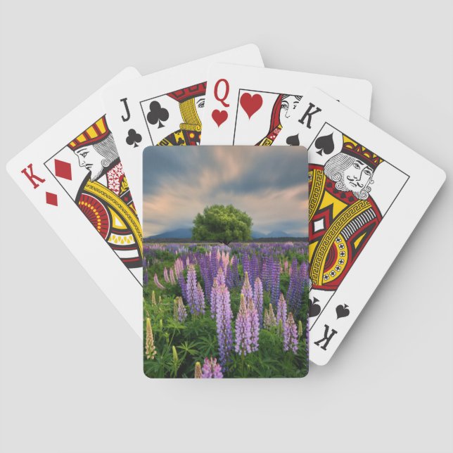 Blumen | Lupinefeld in Neuseeland Spielkarten (Rückseite)