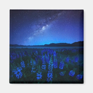 Blumen Lupinen Blühen am Nachtsee Tekapo Magnet