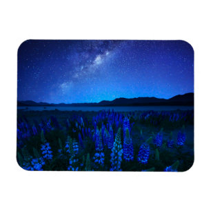 Blumen   Lupinen Blühen am Nachtsee Tekapo Magnet