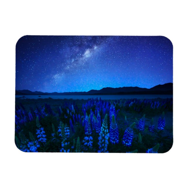 Blumen | Lupinen Blühen am Nachtsee Tekapo Magnet (Horizontal)