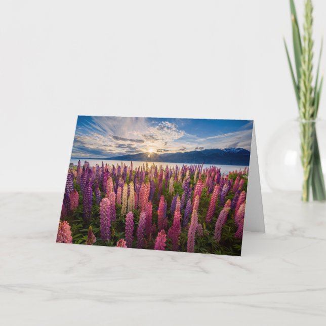 Blumen | Lupinen Neuseeland Karte (Vorderseite)