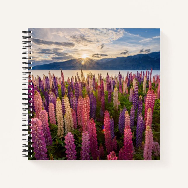 Blumen | Lupinen Neuseeland Notizbuch (Vorderseite)