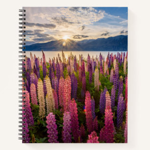 Blumen Lupinen Neuseeland Notizbuch