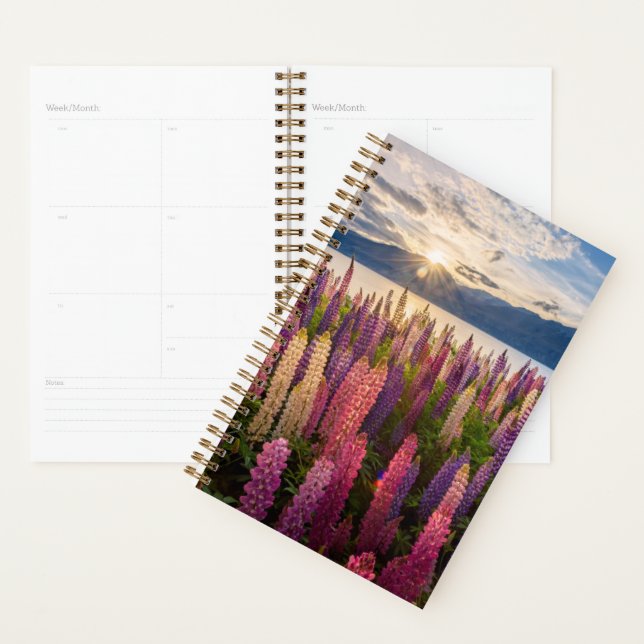Blumen | Lupinen Neuseeland Planer (Anzeige)