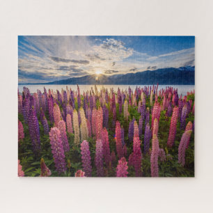 Blumen   Lupinen Neuseeland Puzzle