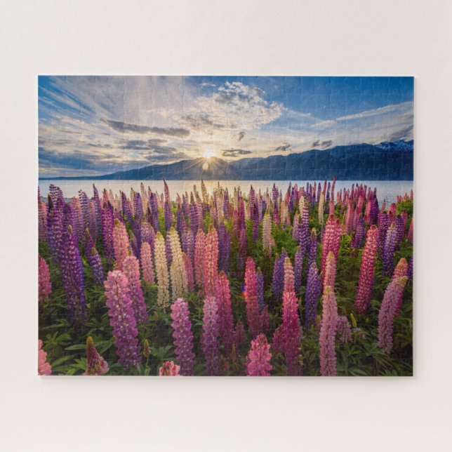 Blumen | Lupinen Neuseeland Puzzle (Horizontal)