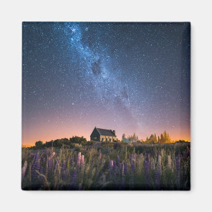 Blumen Lupines Blühen Tekapo-See Neuseeland Magnet