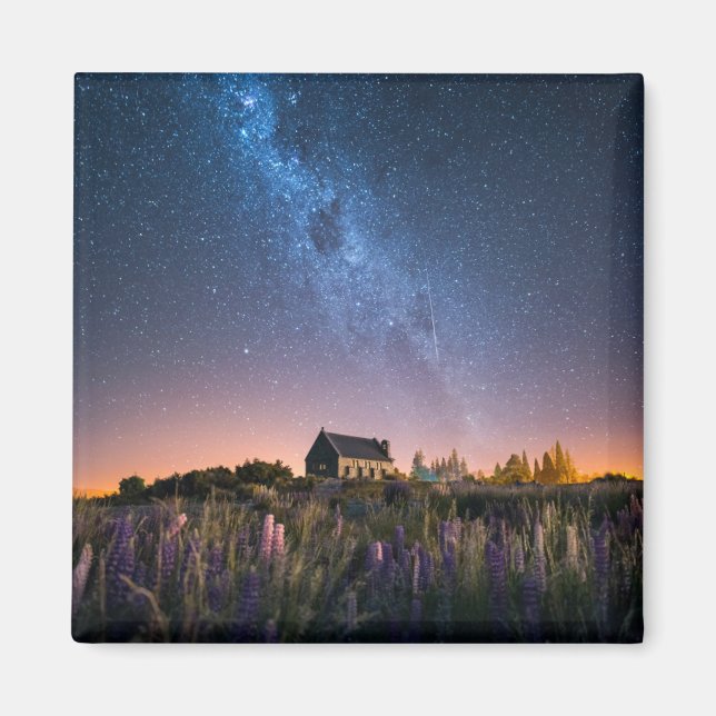 Blumen | Lupines Blühen Tekapo-See Neuseeland Magnet (Vorne)