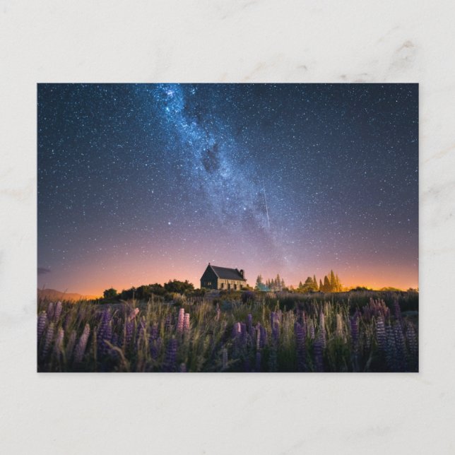 Blumen | Lupines Blühen Tekapo-See Neuseeland Postkarte (Vorderseite)