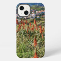Blumen | Madeira Island Portugal