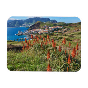 Blumen   Madeira Island Portugal Magnet