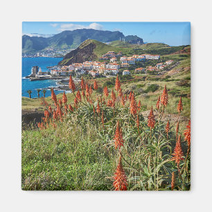 Blumen   Madeira Island Portugal Magnet