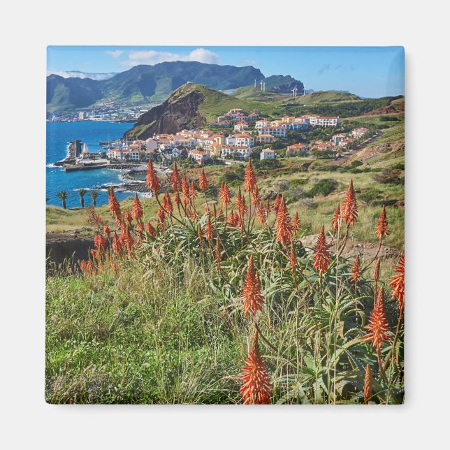 Blumen | Madeira Island Portugal Magnet (Vorne)