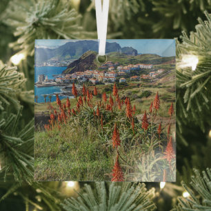 Blumen   Madeira Island Portugal Ornament Aus Glas