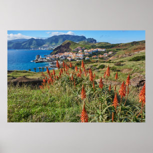 Blumen Madeira Island Portugal Poster