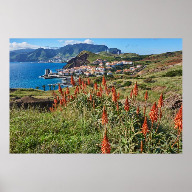 Blumen | Madeira Island Portugal Poster (Vorne)