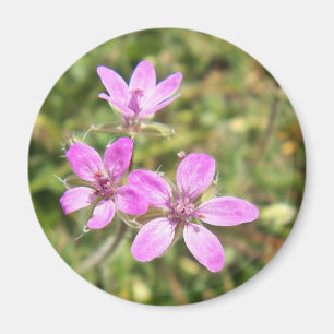 Blumen-Magnet Magnet