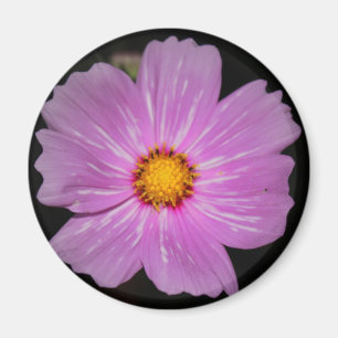 Blumen-Magnet Magnet