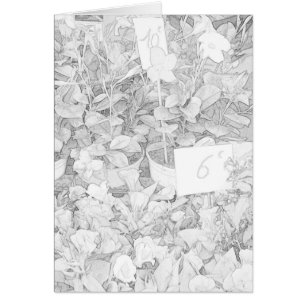 Blumen-Markt-Farbton