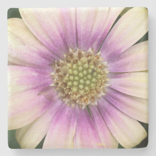 Blumen-Mitte-Untersetzer Steinuntersetzer
