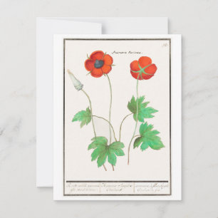 Blumen-Mohn Vintage-Grußkarte Mitteilungskarte