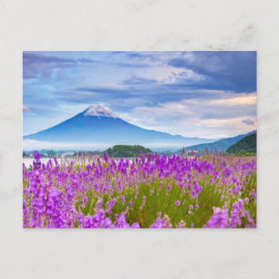 Blumen Mount Fugi Japan Postkarte