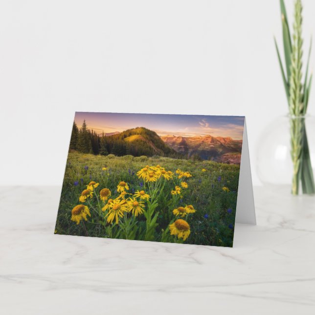 Blumen | Mountain Meadow Crested Butte Colorado Karte (Vorderseite)