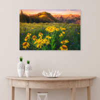 Blumen | Mountain Meadow Crested Butte Colorado