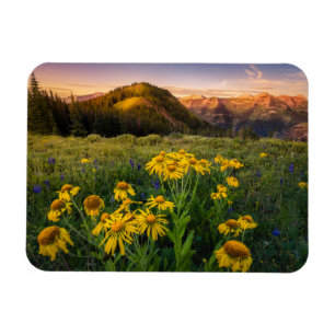 Blumen Mountain Meadow Crested Butte Colorado Magnet