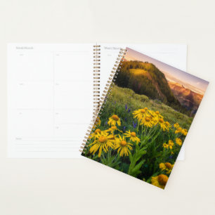 Blumen Mountain Meadow Crested Butte Colorado Planer