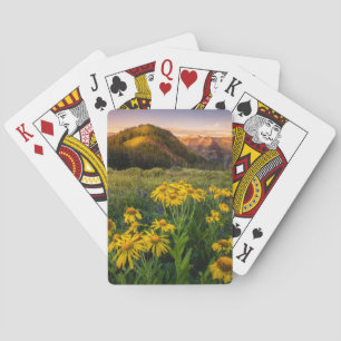 Blumen Mountain Meadow Crested Butte Colorado Spielkarten