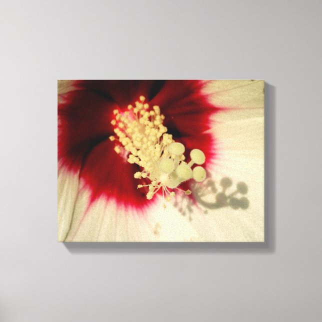 Blumen Nah Up Foto Single Art Poster Leinwanddruck (Vorderseite)