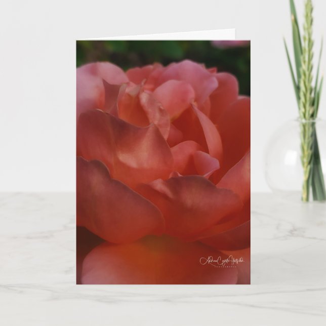 Blumen Nahaufnahme Karte (Vorderseite)