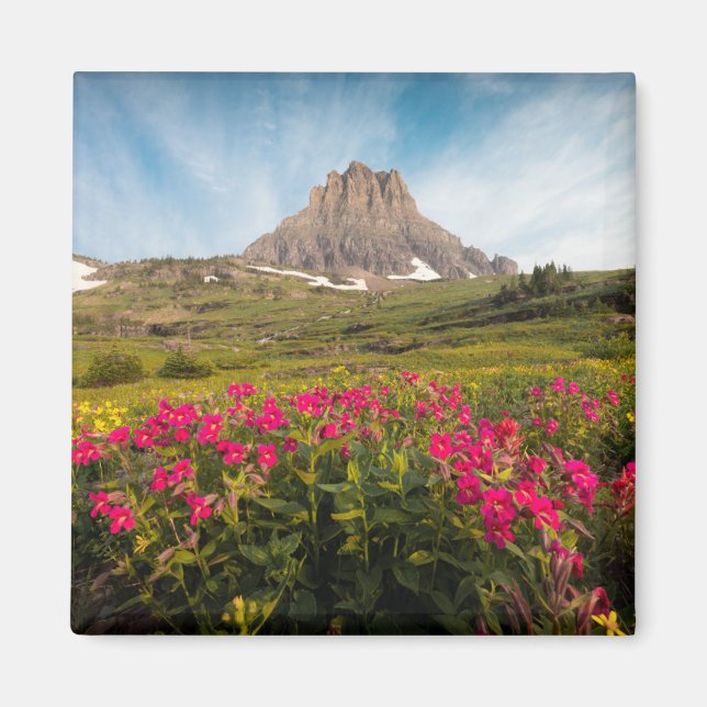 Blumen | Nationalpark des Gletschers von Montana Magnet (Vorne)