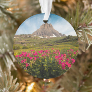 Blumen   Nationalpark des Gletschers von Montana Ornament