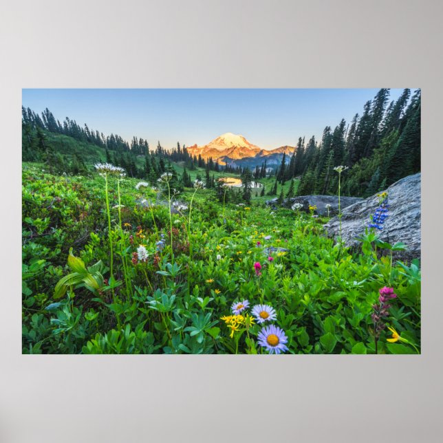 Blumen | Nationalpark Rainier Poster (Vorne)