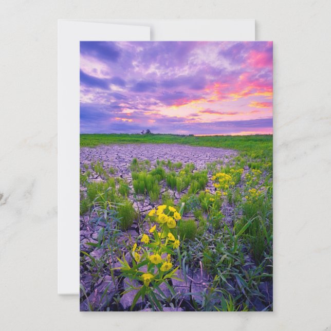 Blumen | North Dakota Red River Valley Dankeskarte (Vorderseite)