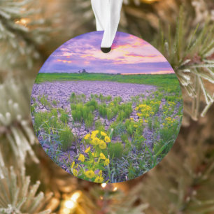 Blumen North Dakota Red River Valley Ornament