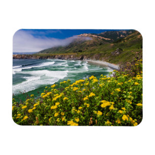 Blumen oberhalb des Sand-Dollar-Strandes Magnet