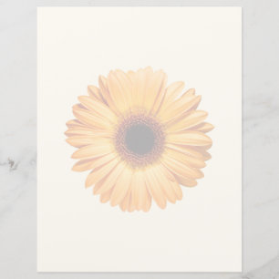 Blumen   Orange Gerbera