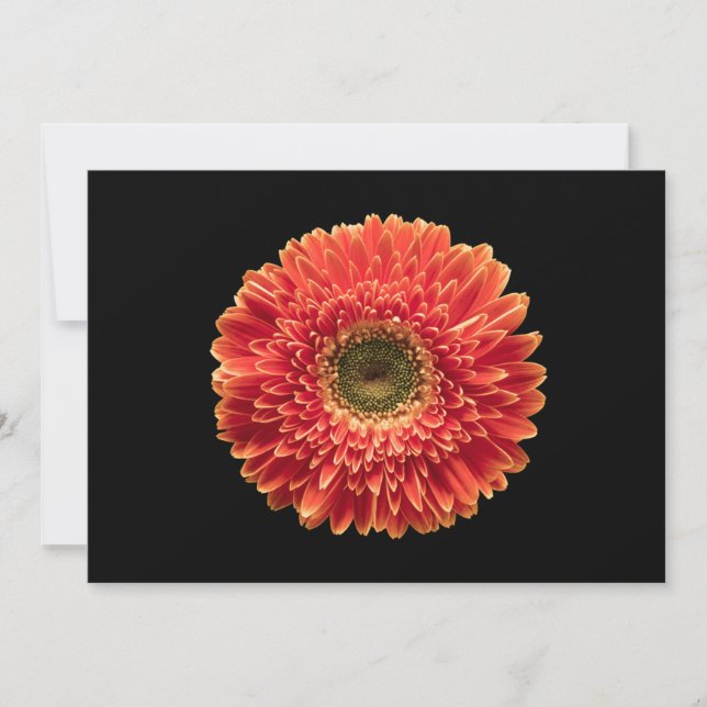 Blumen | Orange Gerbera Daisy Dankeskarte (Vorderseite)